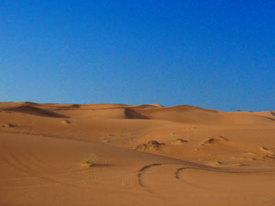 Dubai 2 Wüste